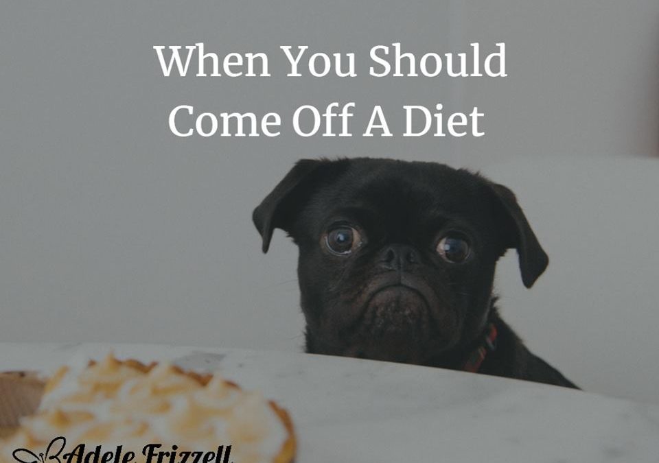 When should I come off a diet?