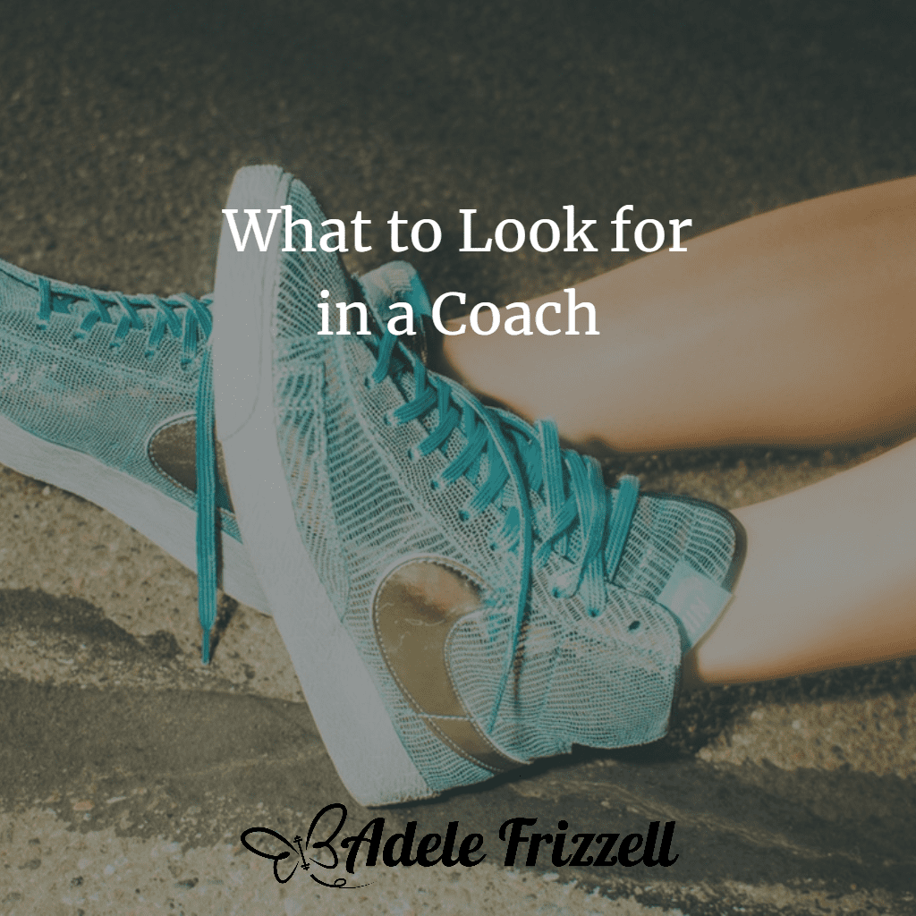 What to Look for in a Coach