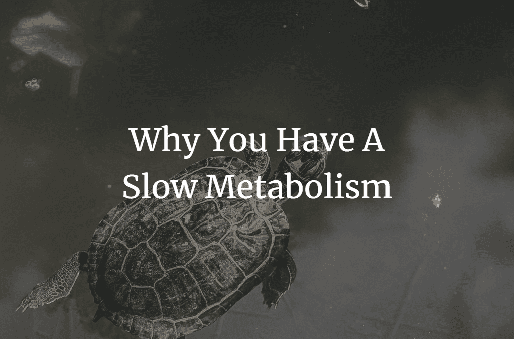 Why You Have A Slow Metabolism