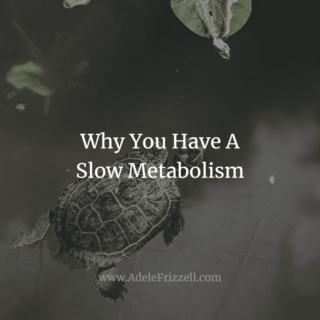 Why You Have A Slow Metabolism