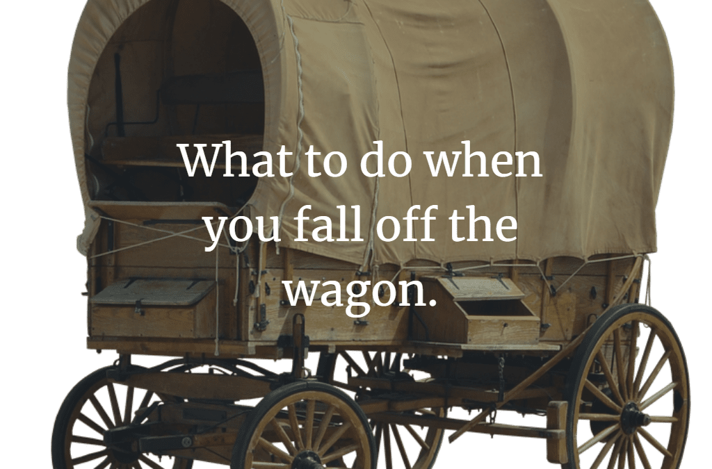 What To Do When You Fall Off The Wagon Adele Frizzell LLC