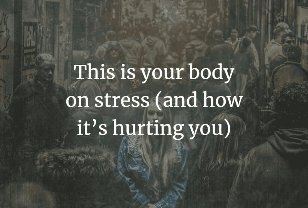 This is your body on stress (and how it’s hurting you)