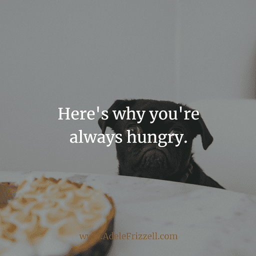 Here’s why you’re always hungry.