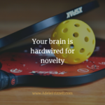 Your brain is hardwired for novelty