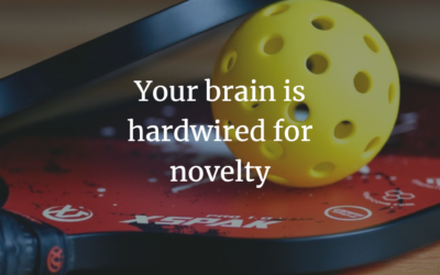 Your brain is hardwired for novelty